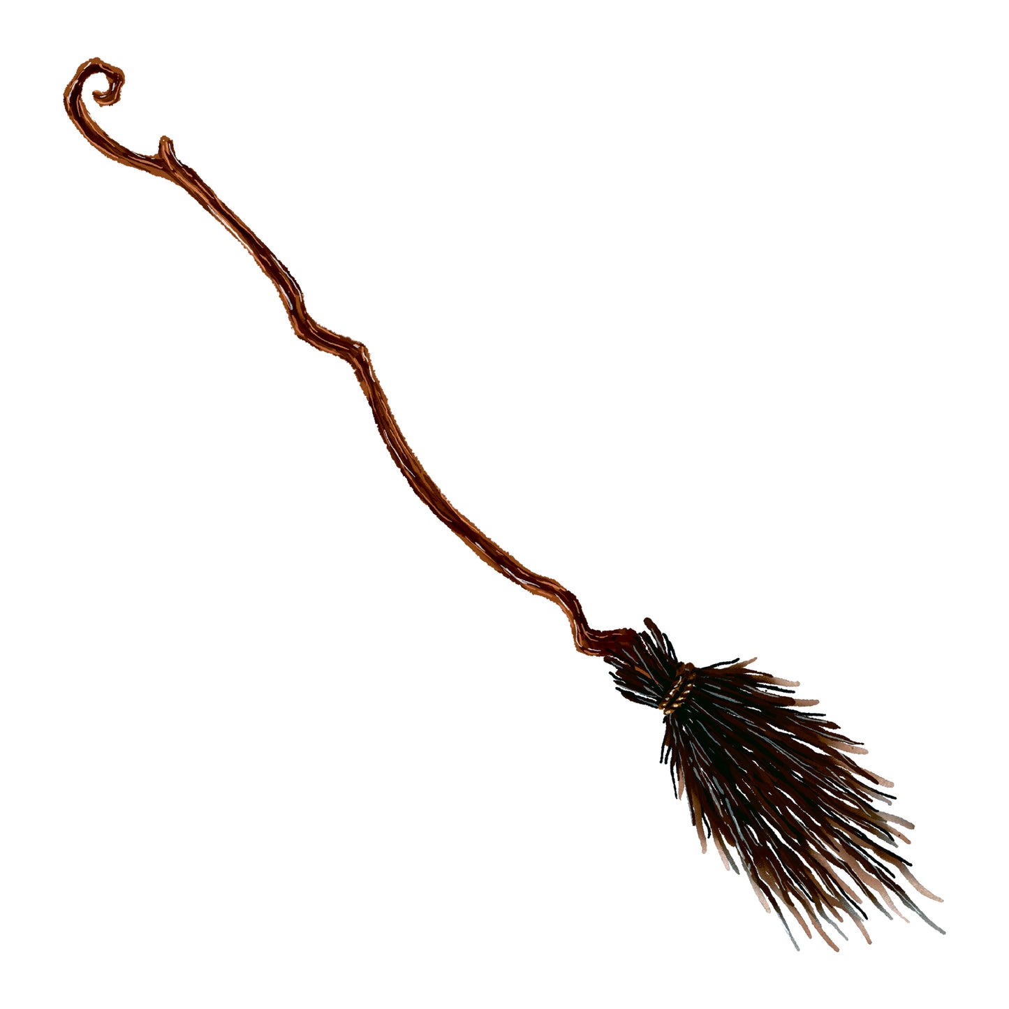 Witch's Broom