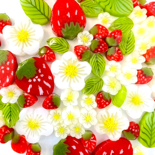 Strawberry Plant Mixed Sizes