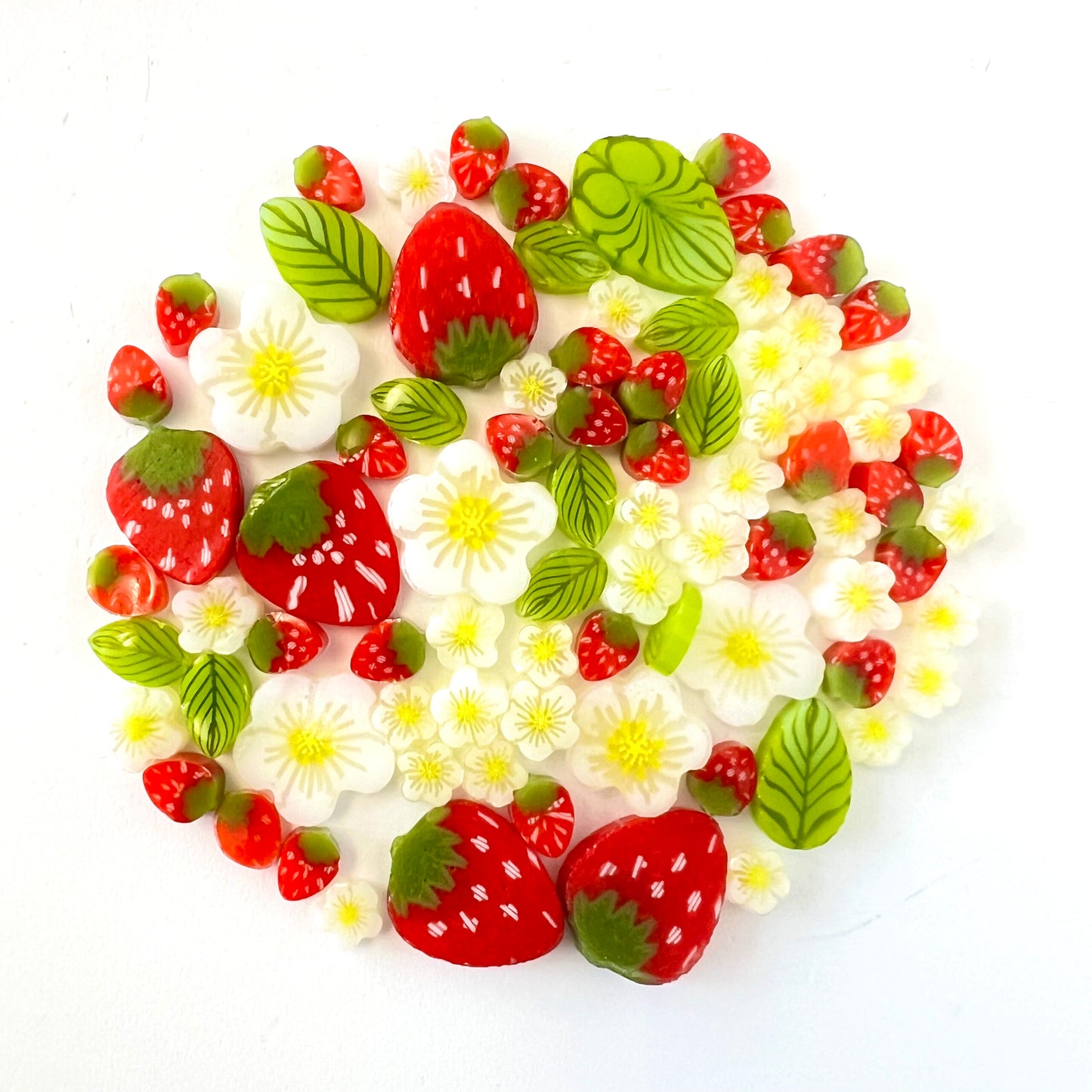 Strawberry Plant Mixed Sizes