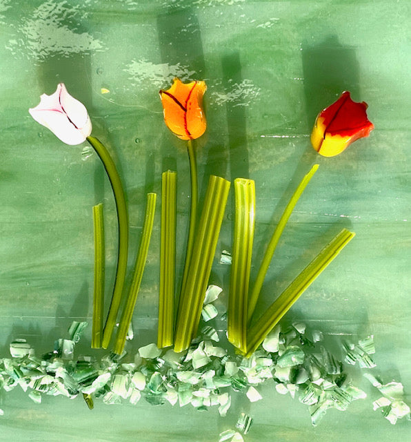 Mixed Tulips