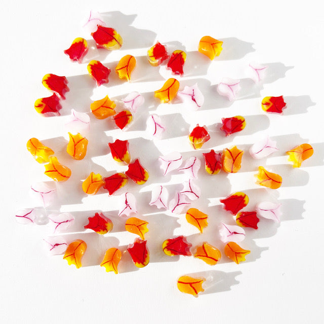 Mixed Tulips