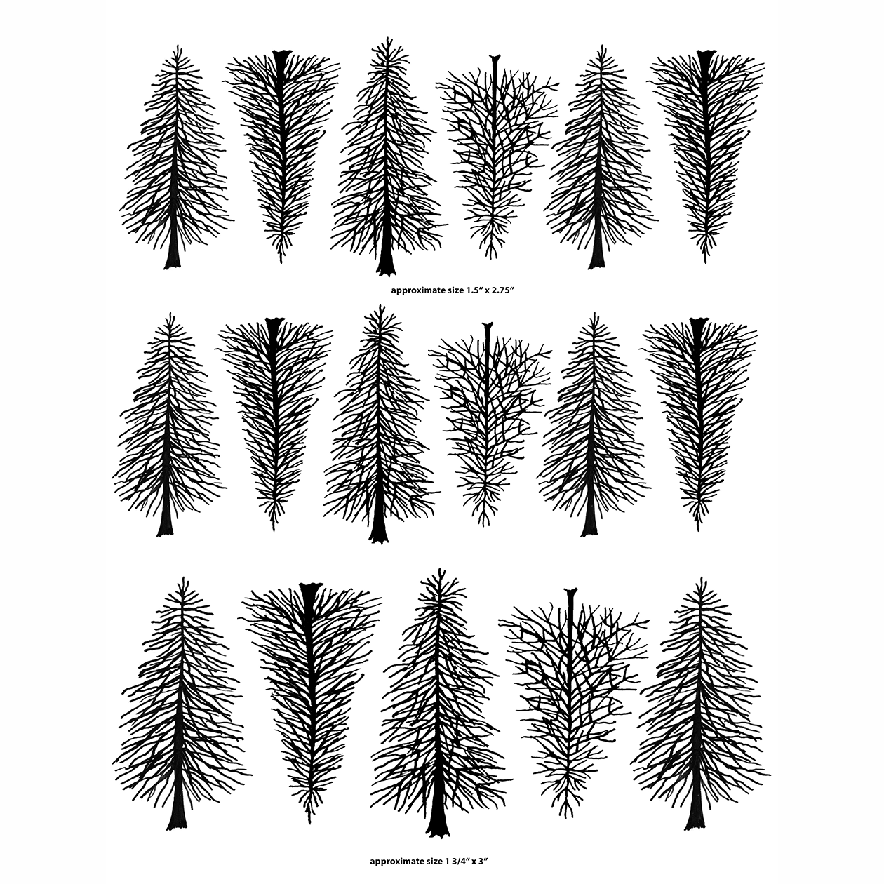 Black Pine Trees 1, designed by Mark Hufford