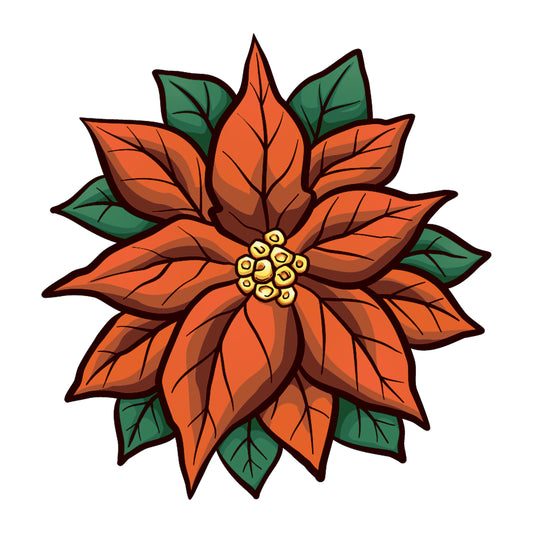 Poinsettia 1
