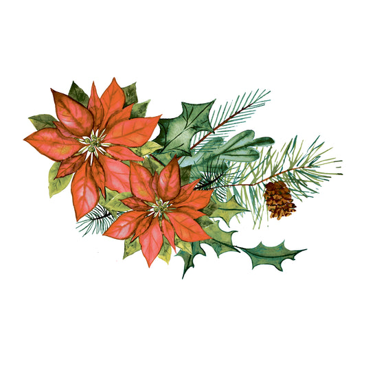 Poinsettia 3
