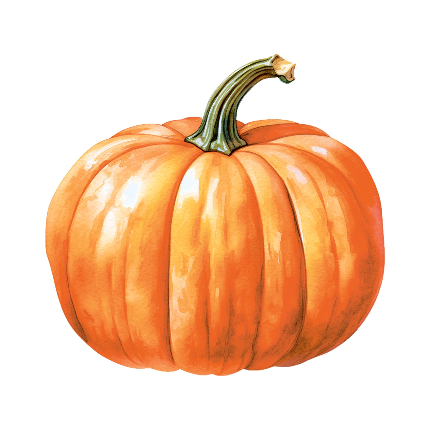 Pumpkin 1