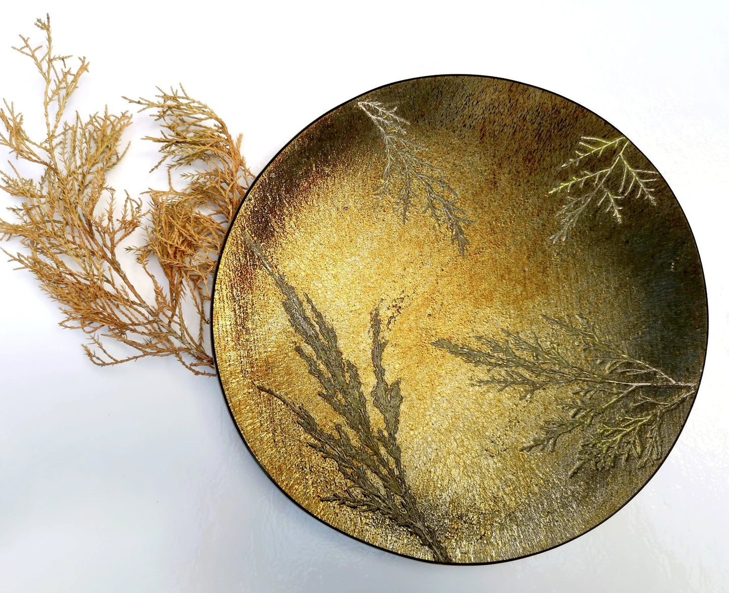 2024: 05/15 Fused Glass Fossil Vitra