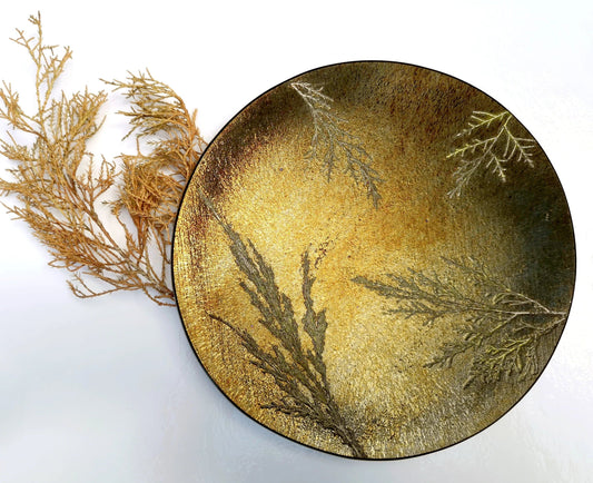 2026: 01/29 Nature’s Imprint: Fused Glass Fossil Vitra