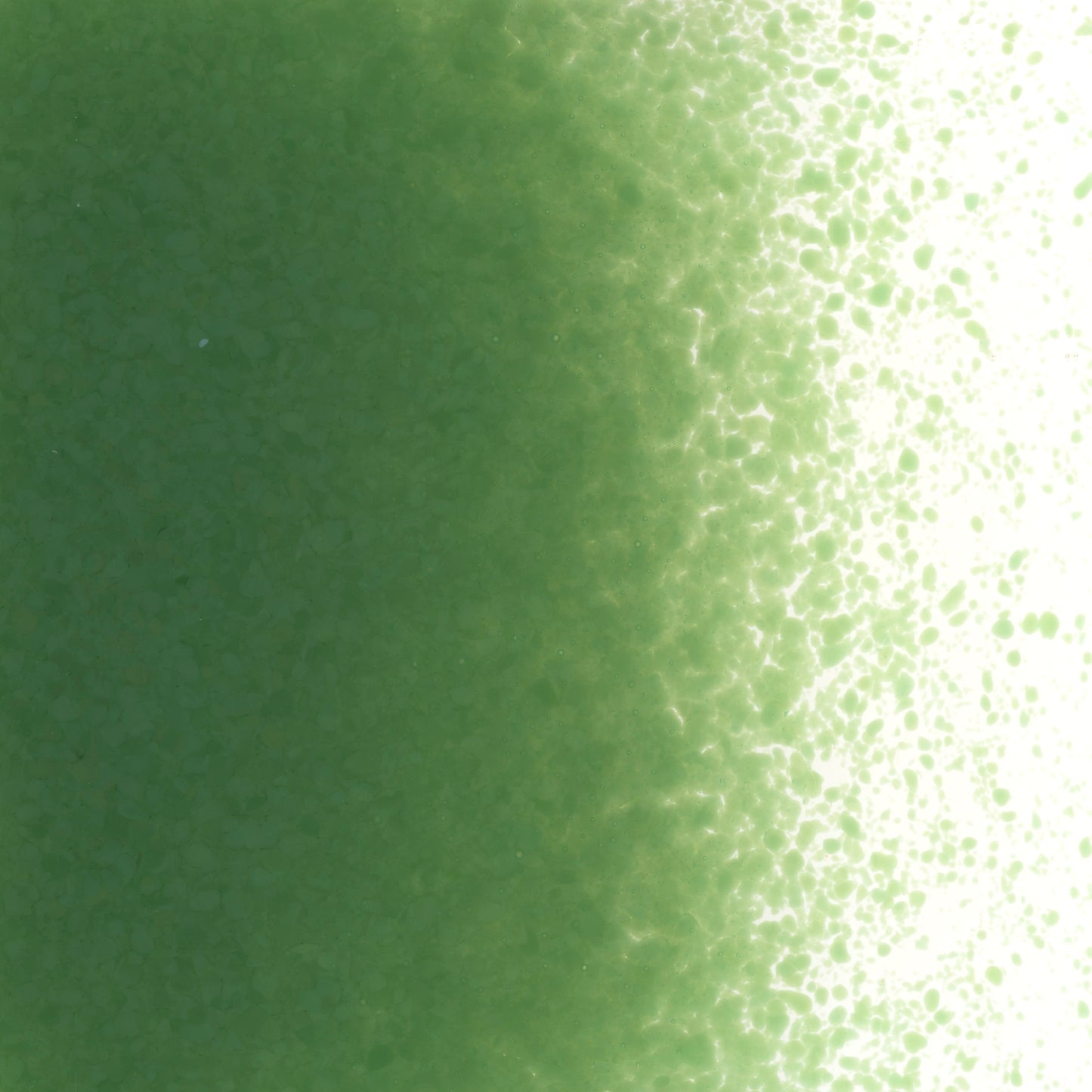 Dark Forest Green Opal Frit (0141)