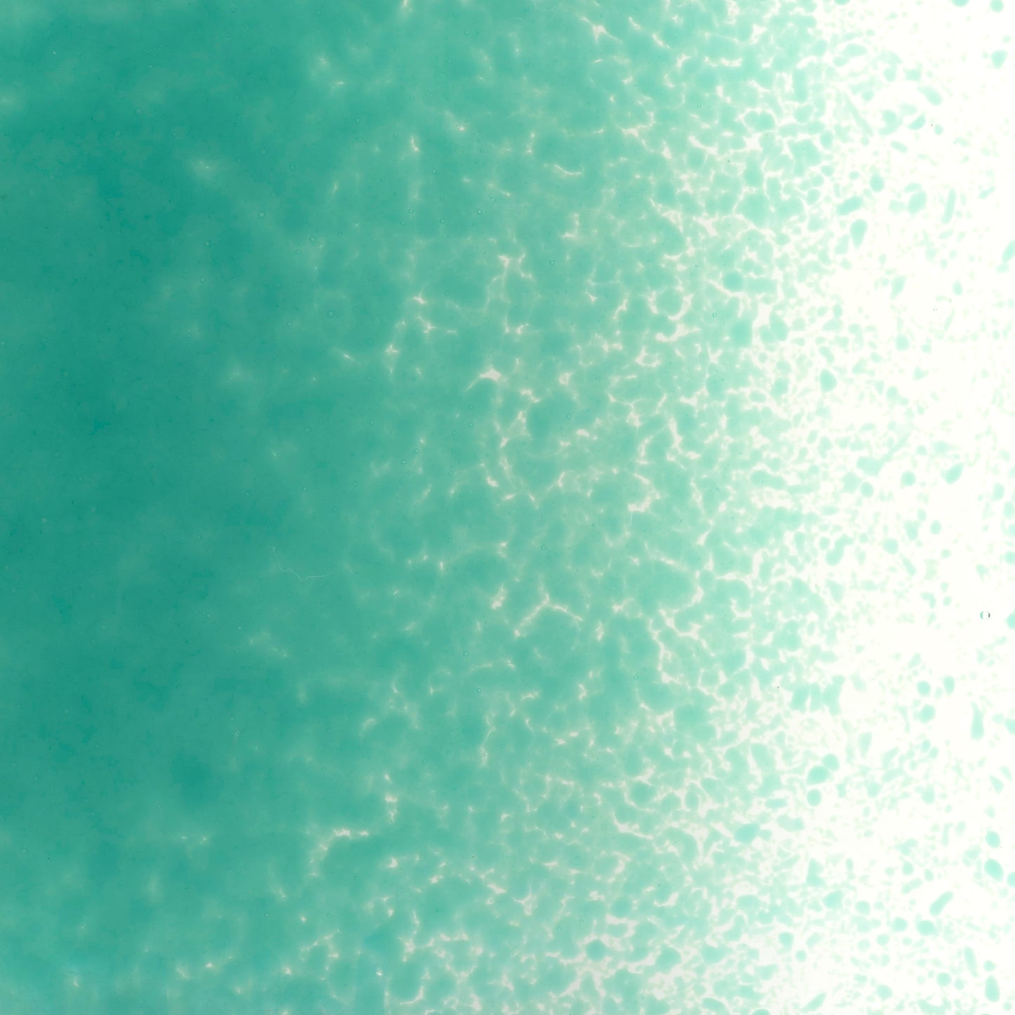 Teal Green Opal (0144), Frit, Fusible, 5 oz. jar