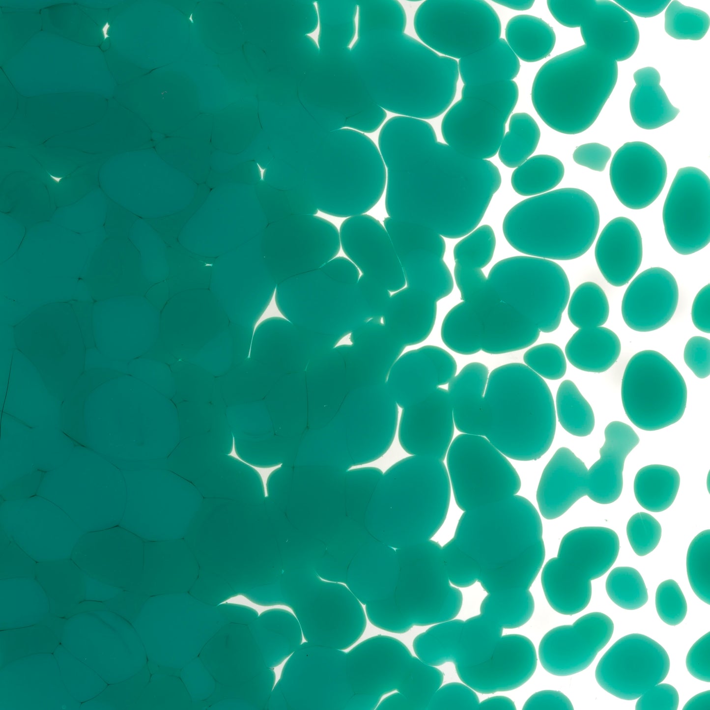 Teal Green Opal (0144), Frit, Fusible, 5 oz. jar