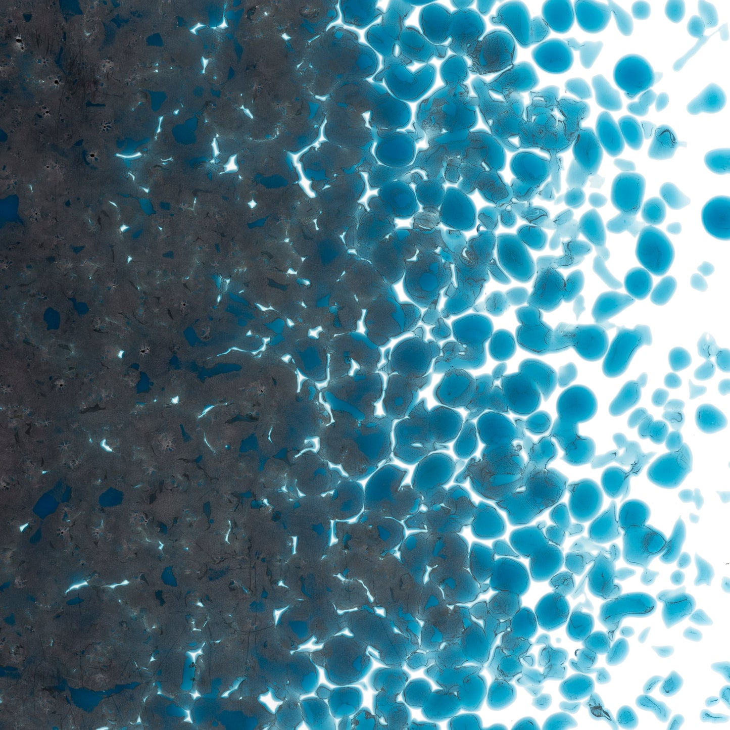 Steel Blue Opal Frit (0146), Fusible, 5 oz. jar