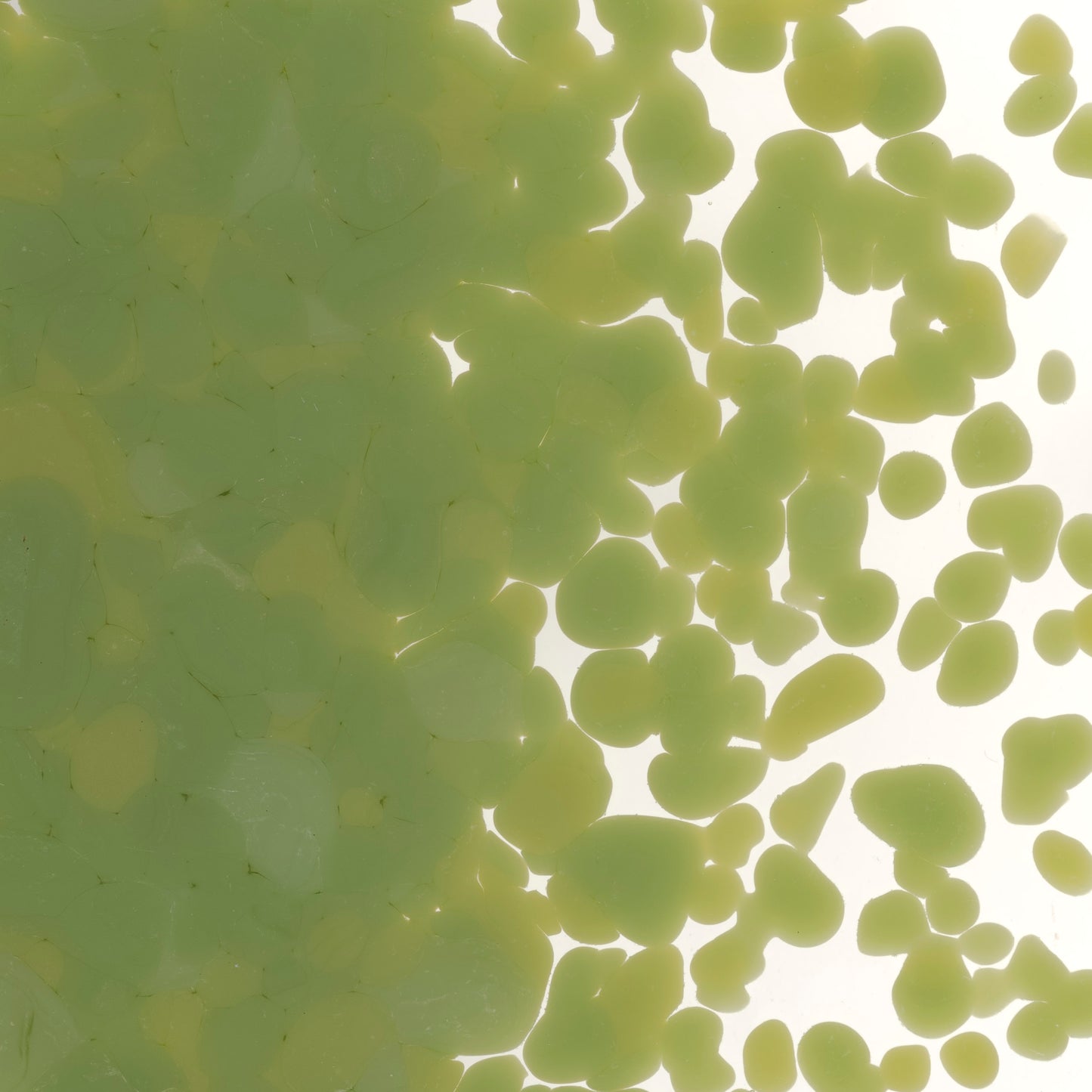 Olive Green Opal Frit (0212)
