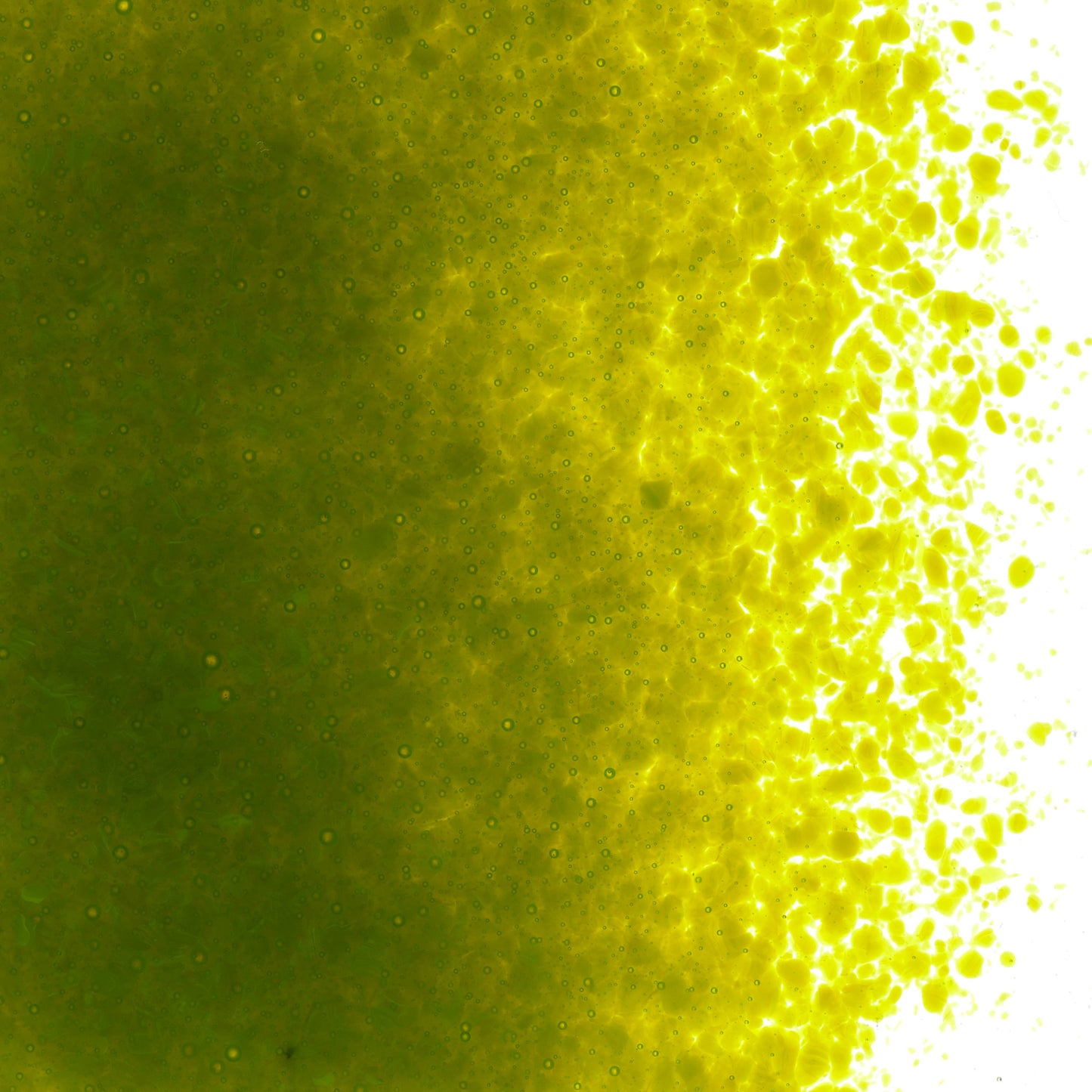 Avocado Green Opal Frit (0222), Fusible, 5 oz. jar