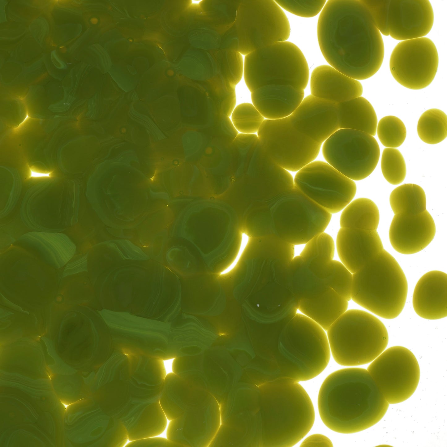 Avocado Green Opal Frit (0222), Fusible, 5 oz. jar