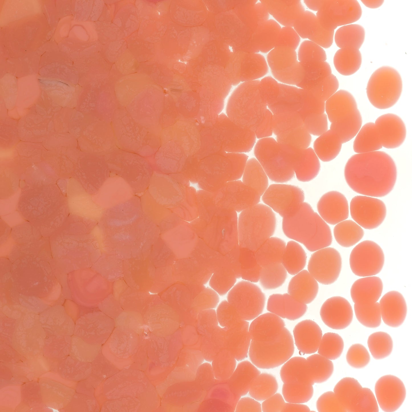 Salmon Pink Opal Frit (0305), Fusible, 5 oz. jar