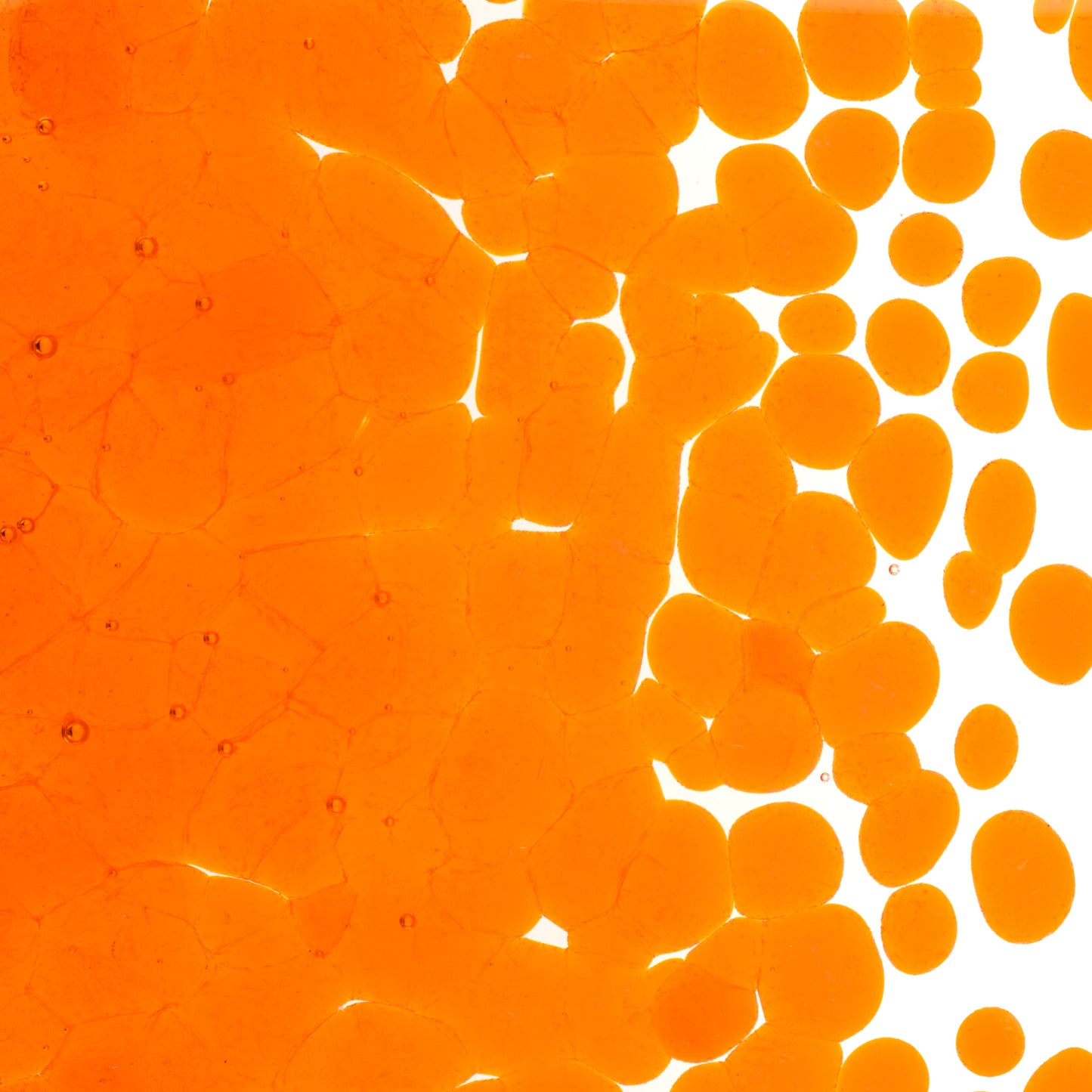 Light Orange Striker Transparent Frit (1025), Fusible, 5 oz. jar