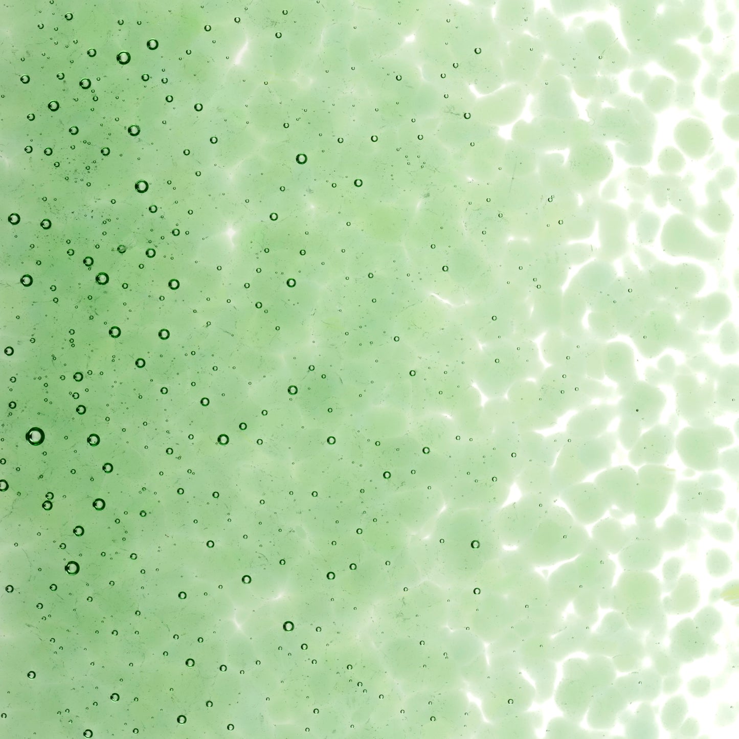 Light Green Trans (1107), Frit, Fusible, 5 oz. jar