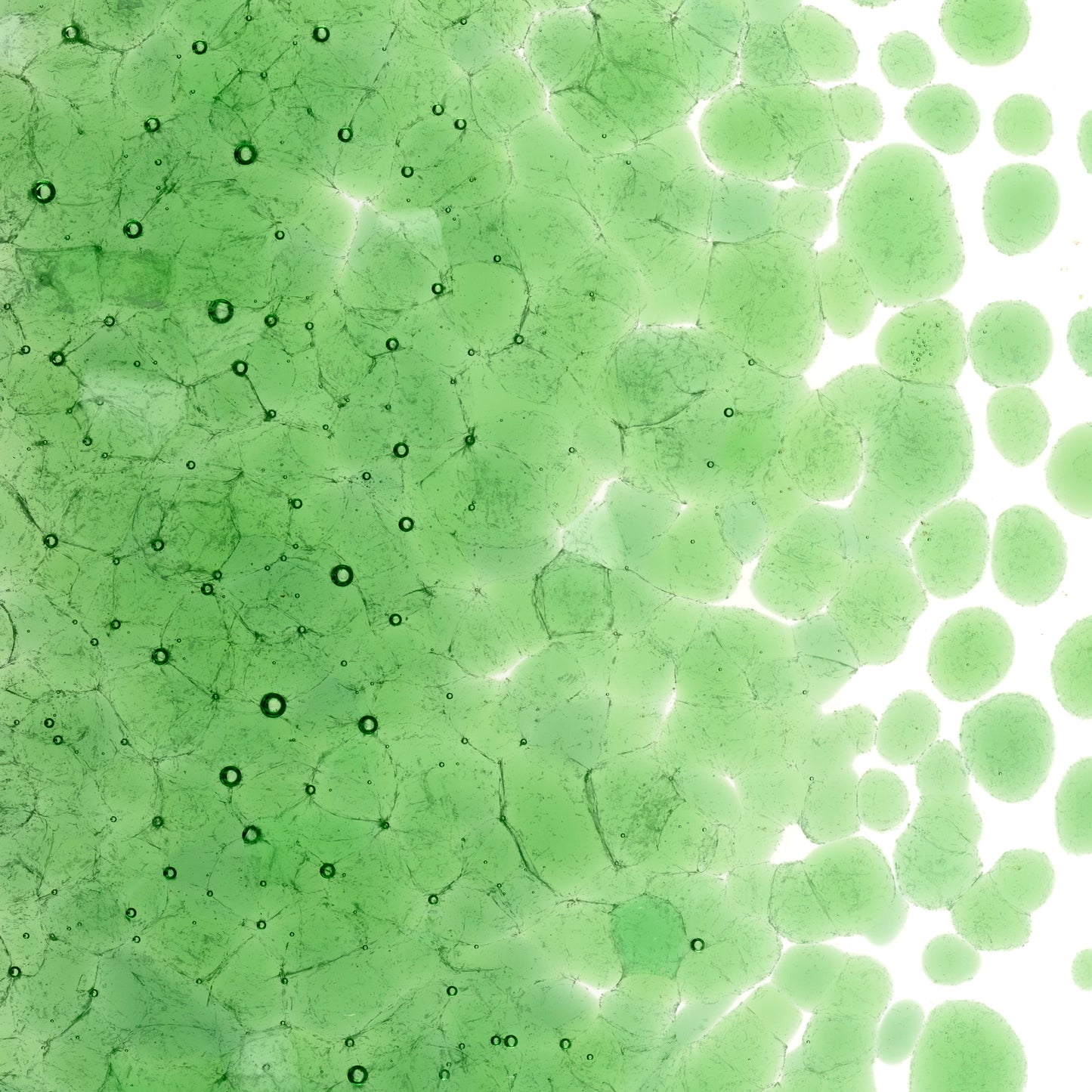Light Green Trans (1107), Frit, Fusible, 5 oz. jar