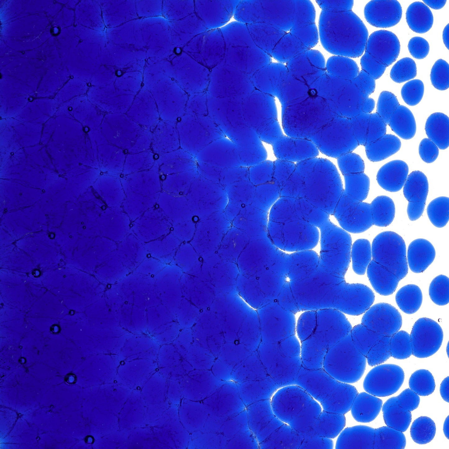 Deep Royal Blue Transparent Frit (1114)