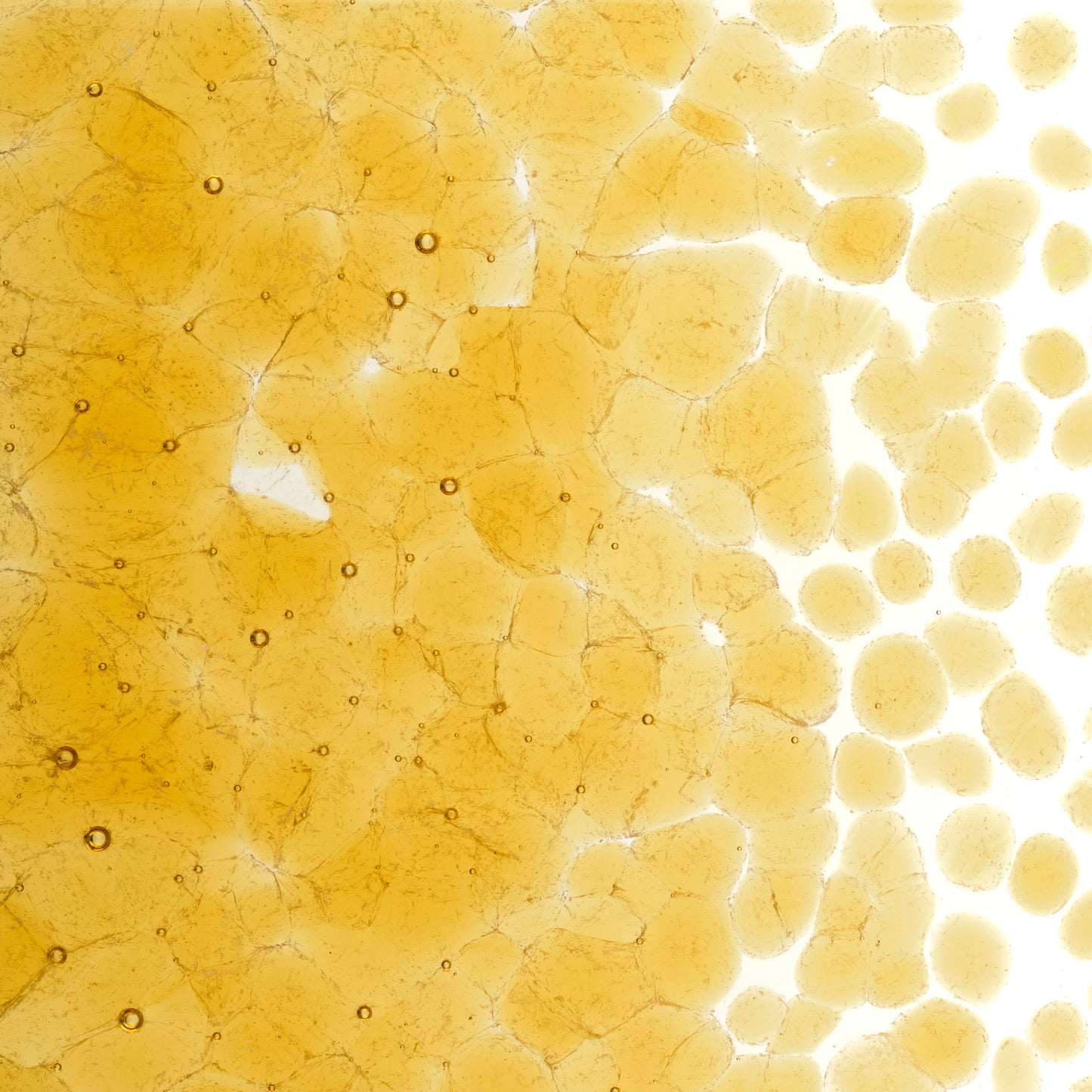 Medium Amber Transparent Frit (1137)