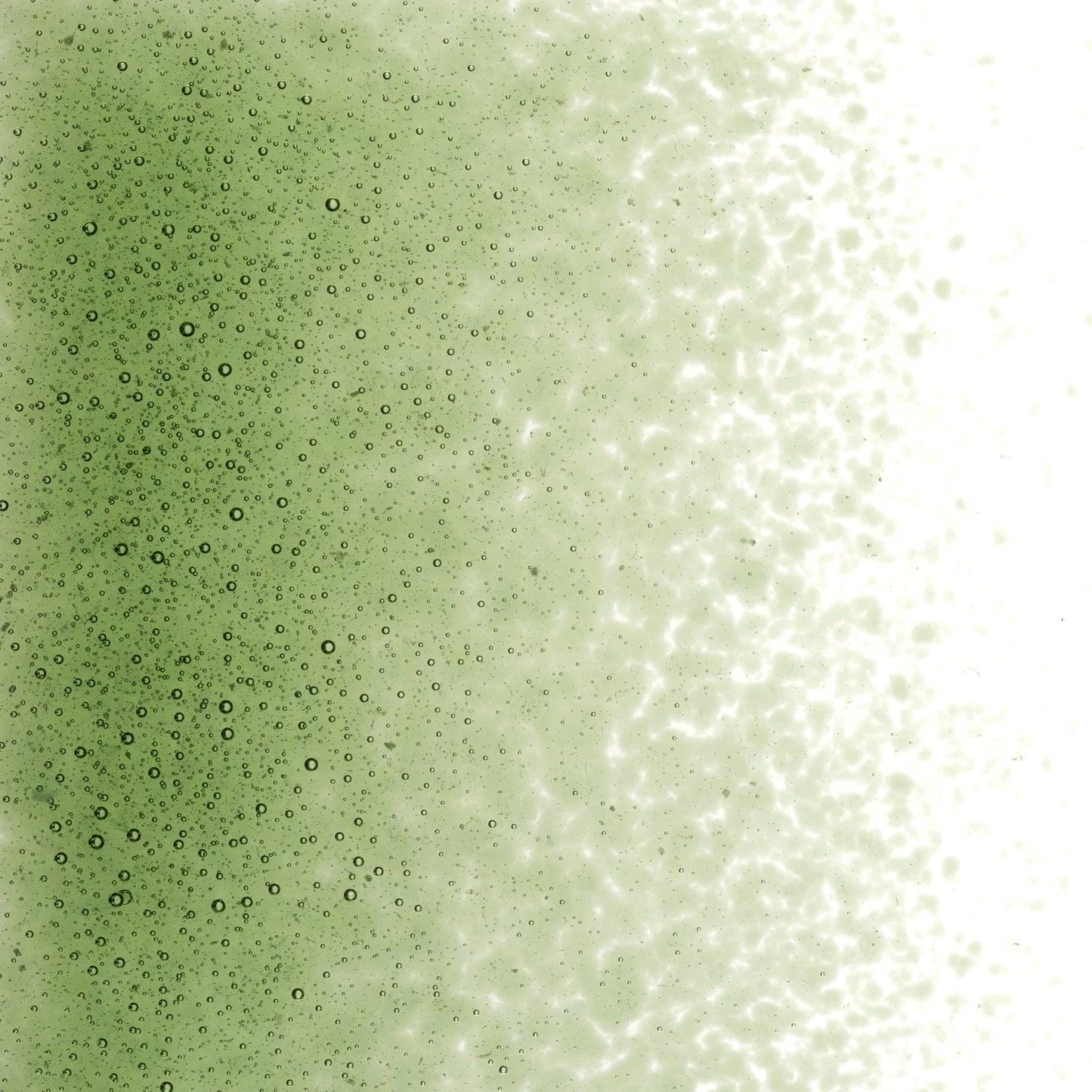 Olive Green Trans (1141), Frit, Fusible, 5 oz. jar