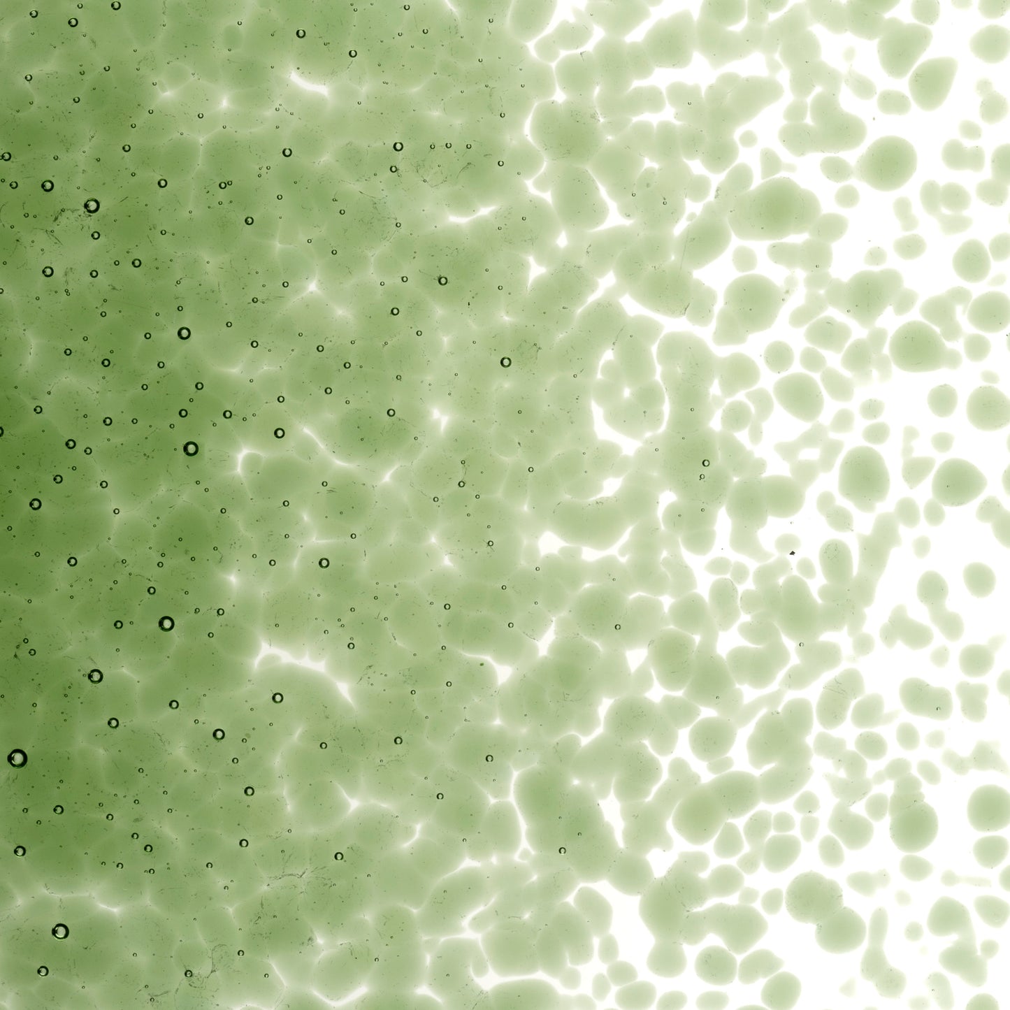 Olive Green Trans (1141), Frit, Fusible, 5 oz. jar