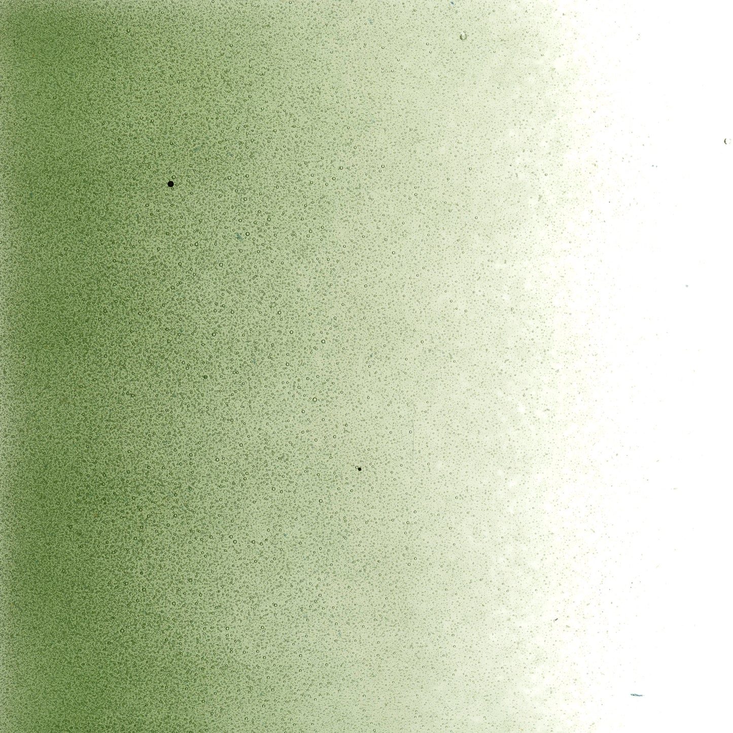 Olive Green Trans (1141), Frit, Fusible, 5 oz. jar