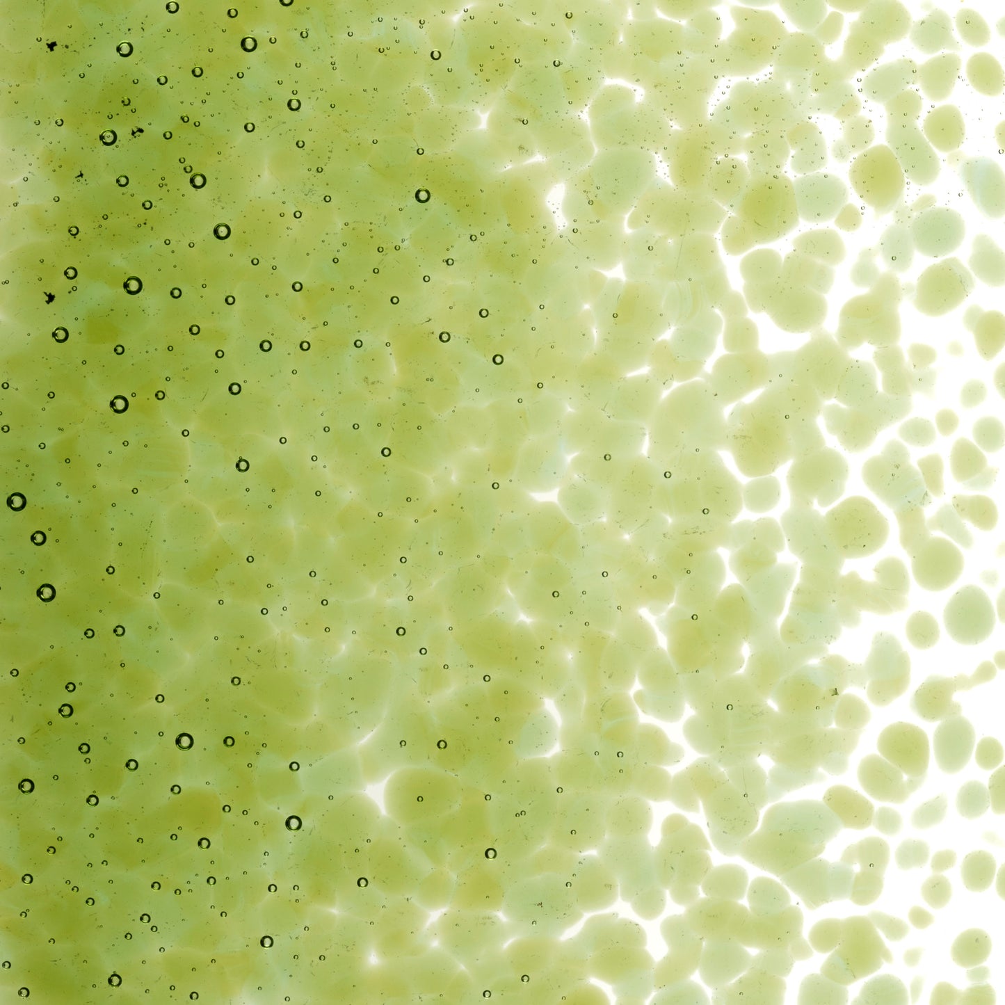 Fern Green Trans (1207), Frit, Fusible, 5 oz. jar
