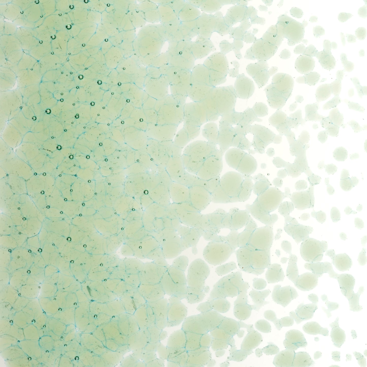 Leaf Green Transparent Frit (1217), Fusible, 5 oz. jar