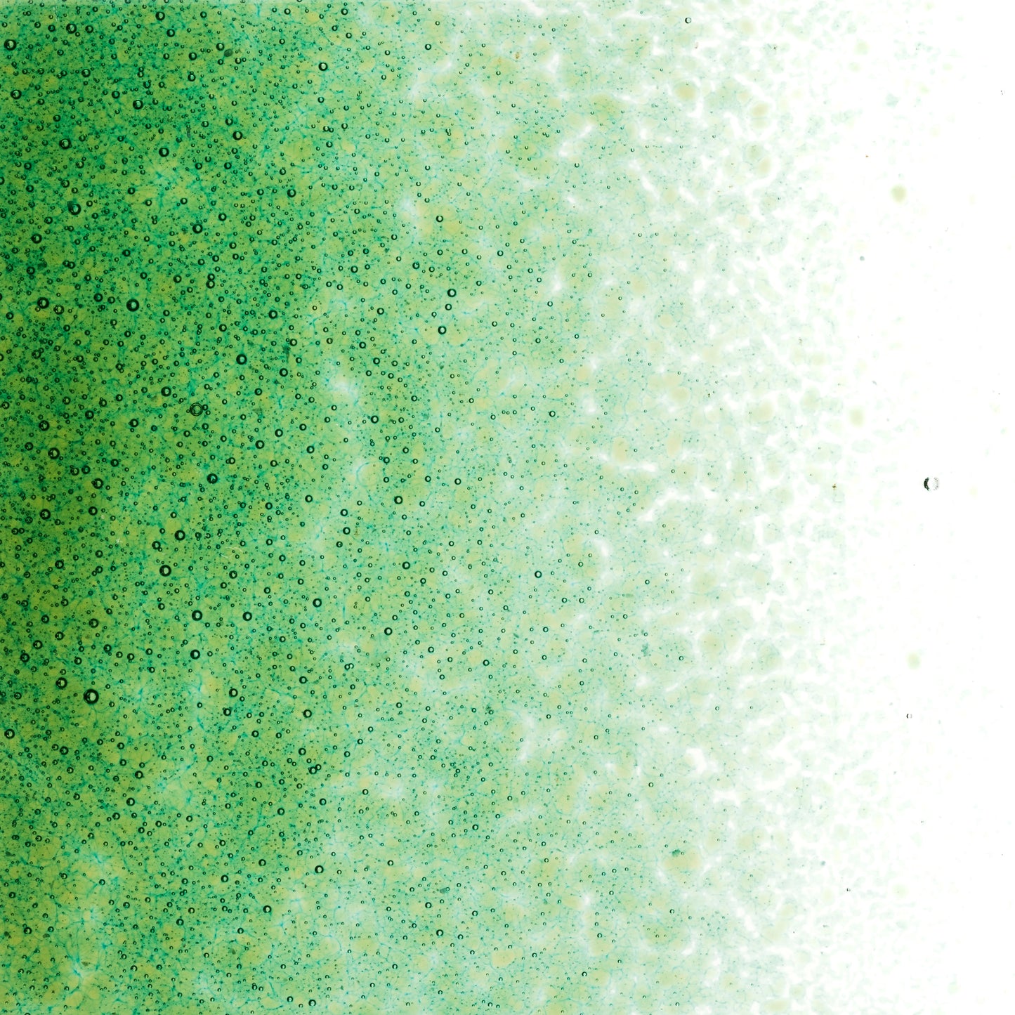 Lily Pad Green Trans (1226), Frit, Fusible, 5 oz. jar