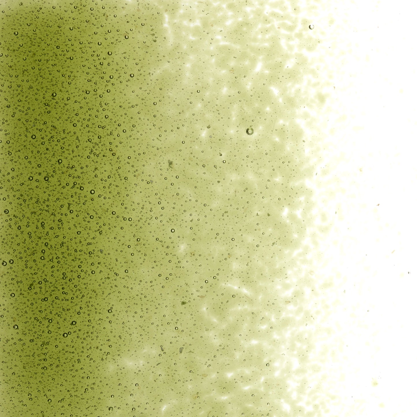 Pine Green (1241), Frit, Fusible, 5 oz. jar