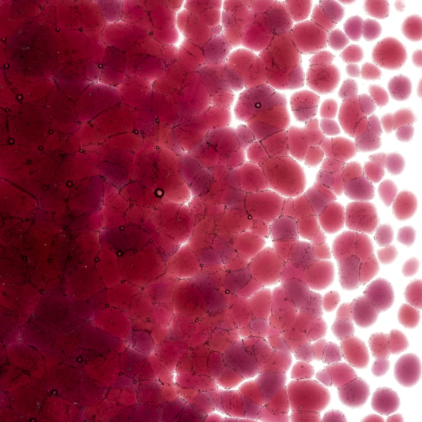 Cranberry Pink (1311), Frit, Fusible, 5 oz. jar