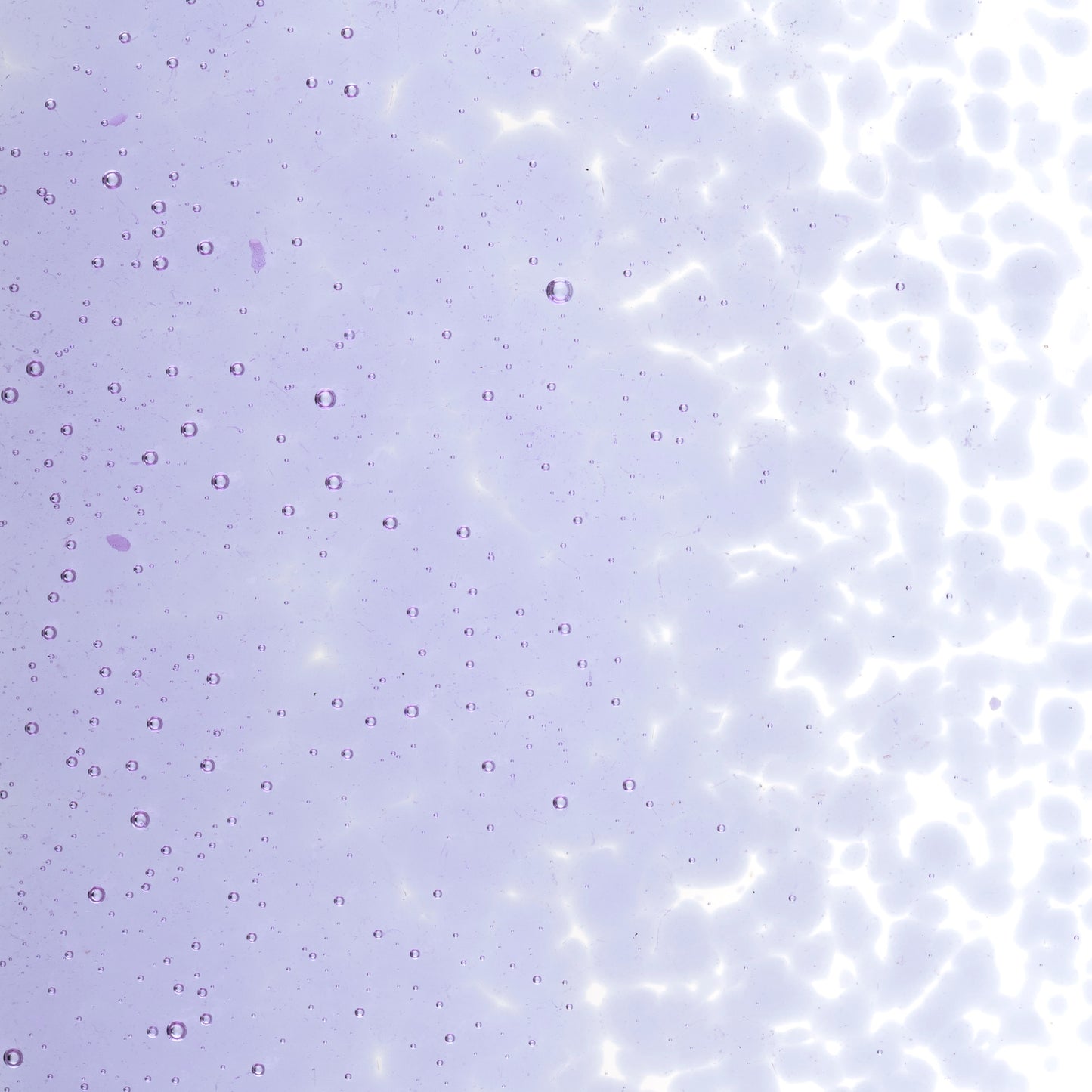 Neo-Lavender Shift Transparent Frit (1442)