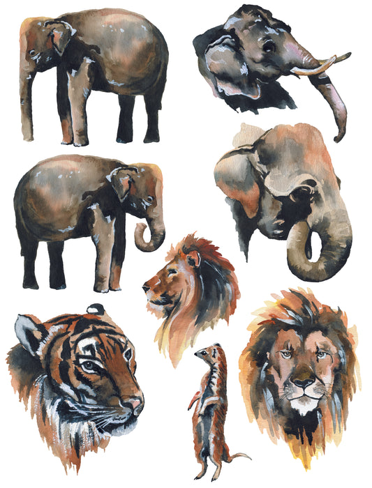 Animals1