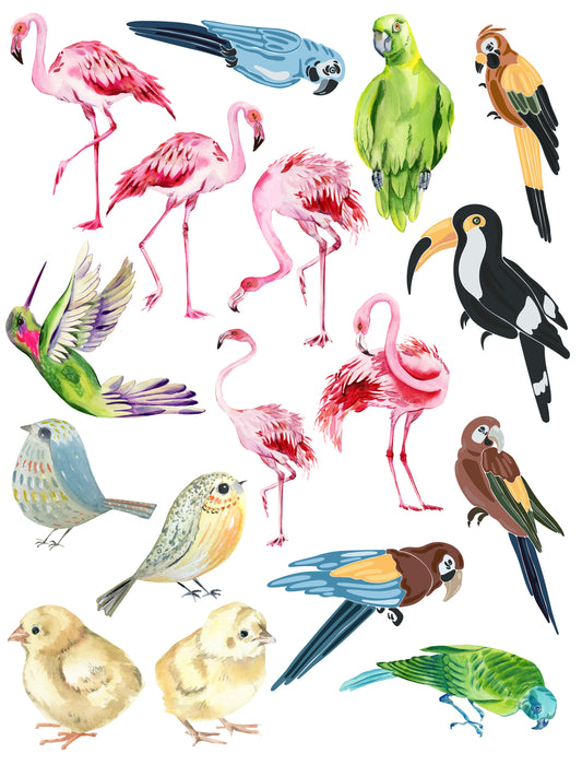 Birds3