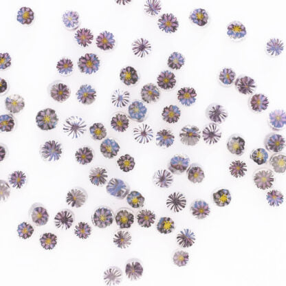 Dark Gold Purple Flowers