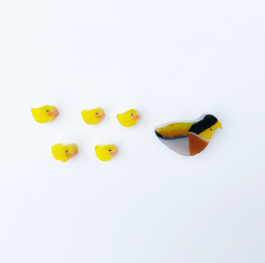 Duck and 5 Ducklings
