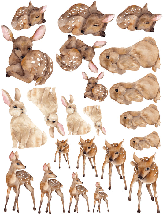 Fawn and Thump Thump