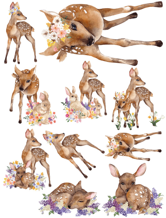 Fawns
