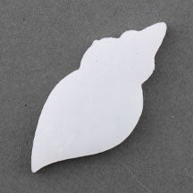 Seashell PreCut