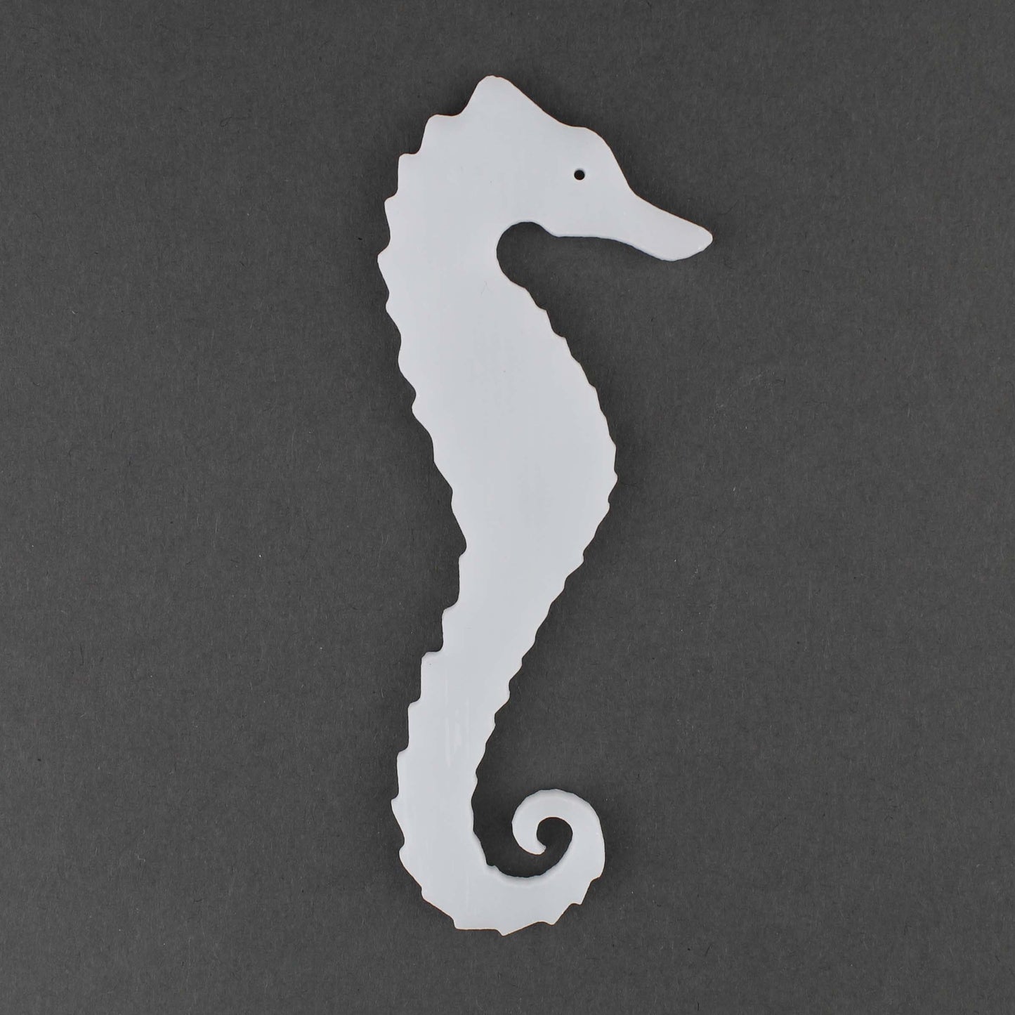 Seahorse 2