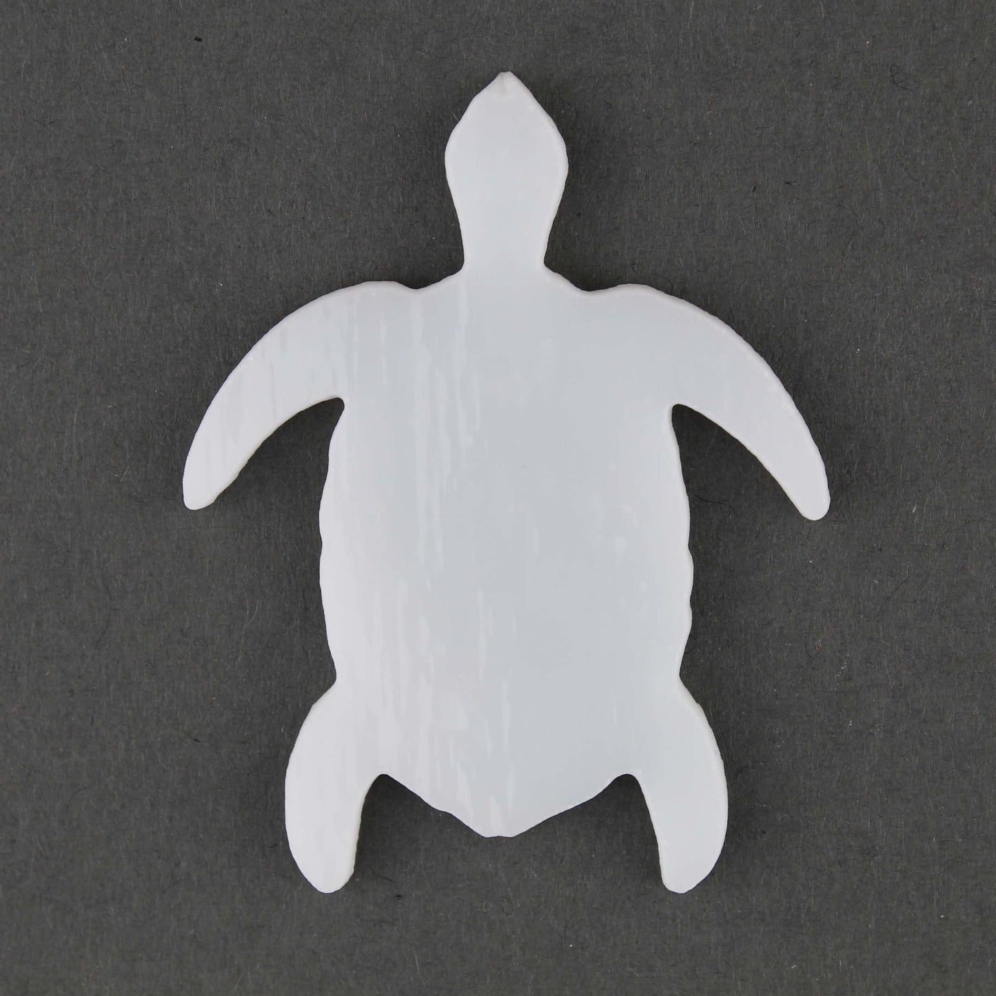 Turtle 2