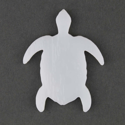Turtle 2