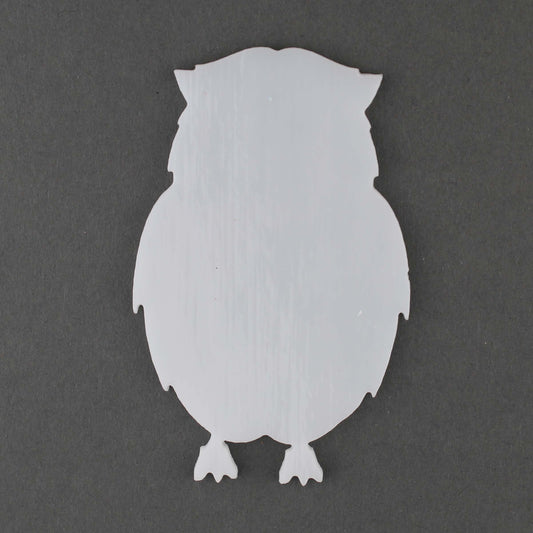 Owl 2
