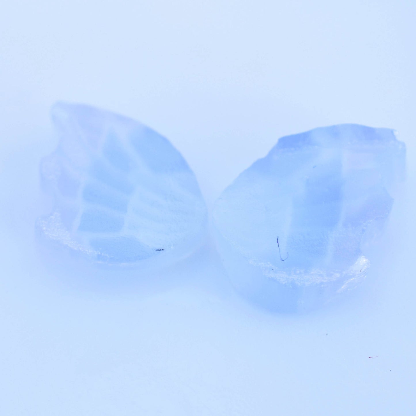 XL Fairy Wings