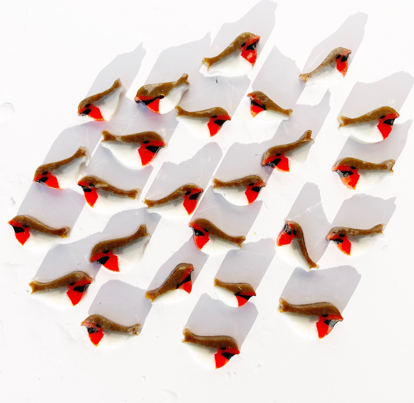 XL Robins