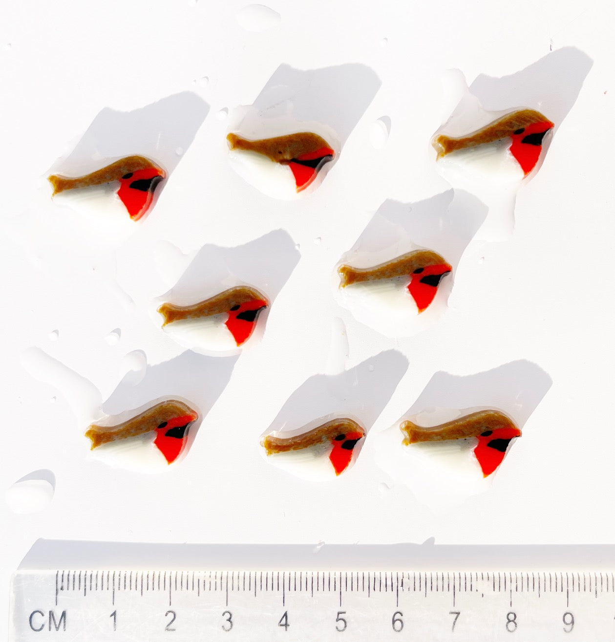 XL Robins