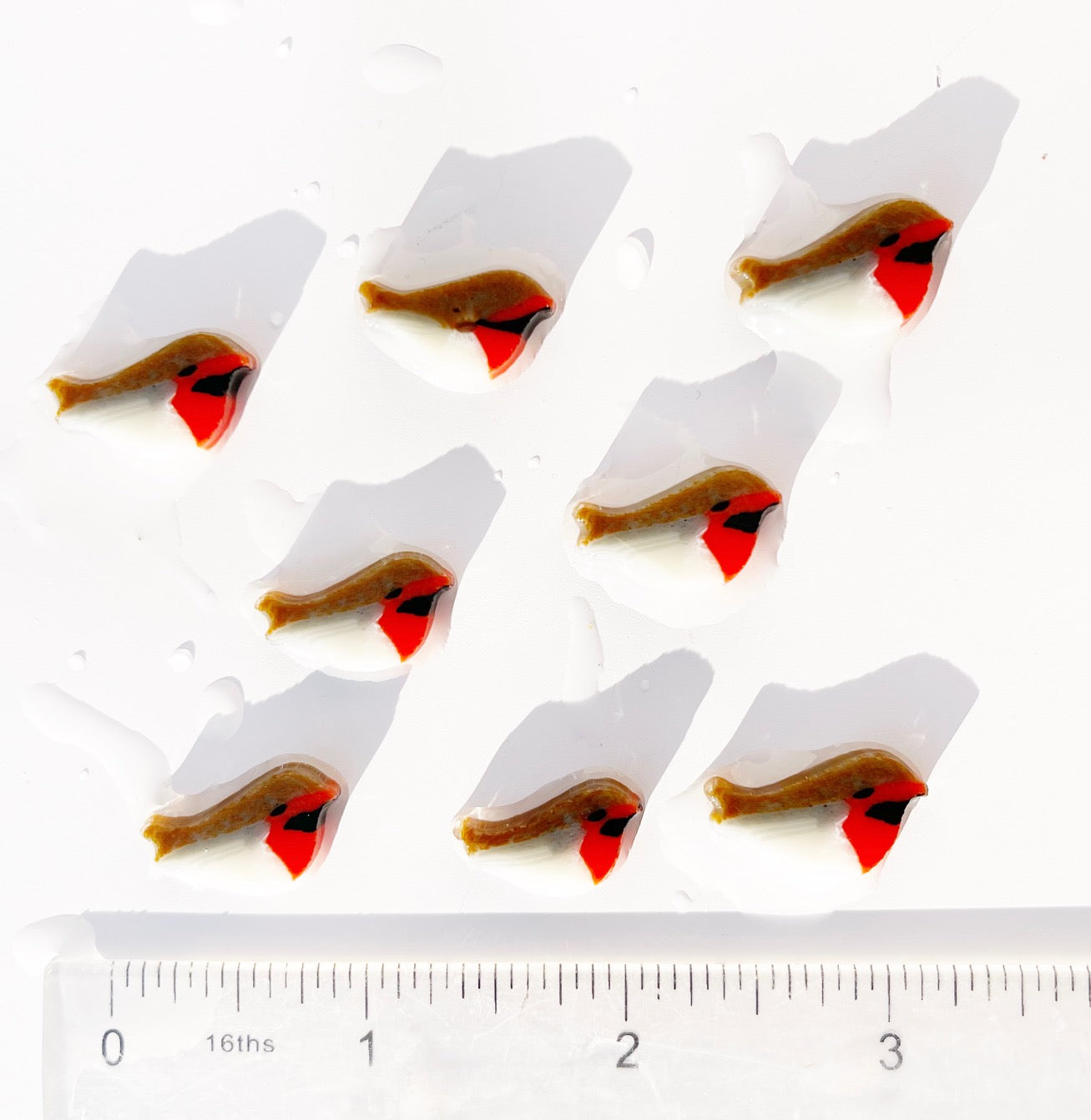 XL Robins