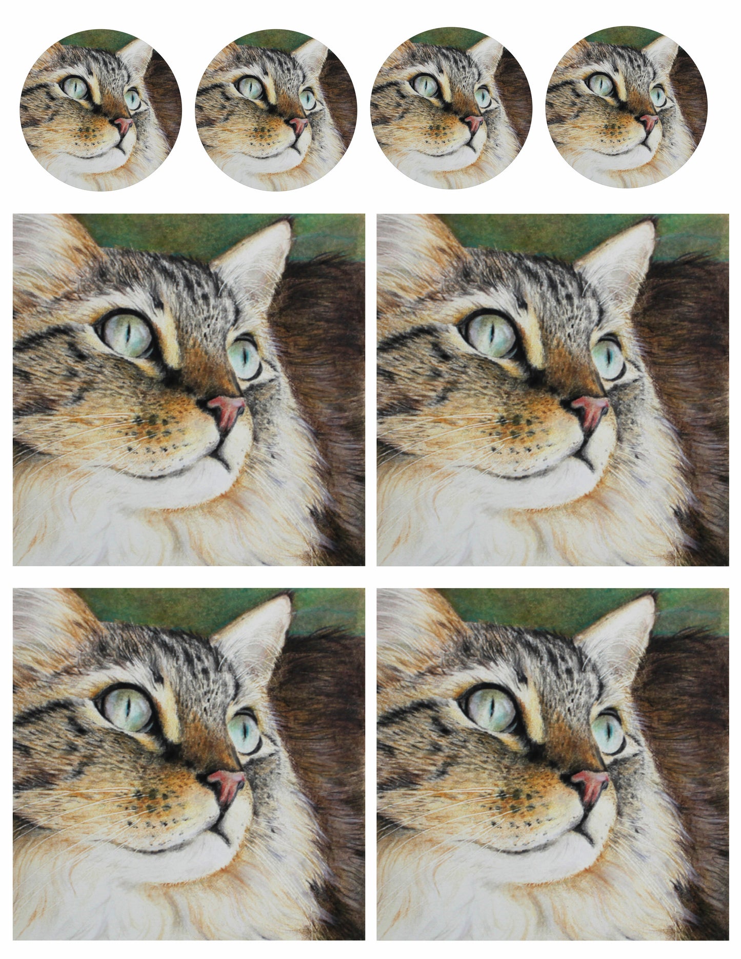 Cat, designed by Mark Hufford