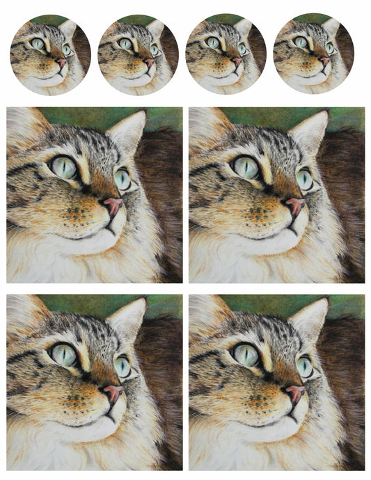 Cat, designed by Mark Hufford